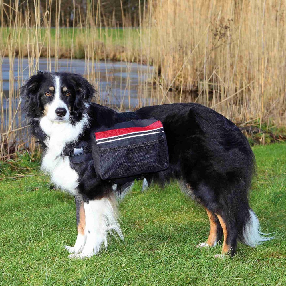 Mochila para Perros