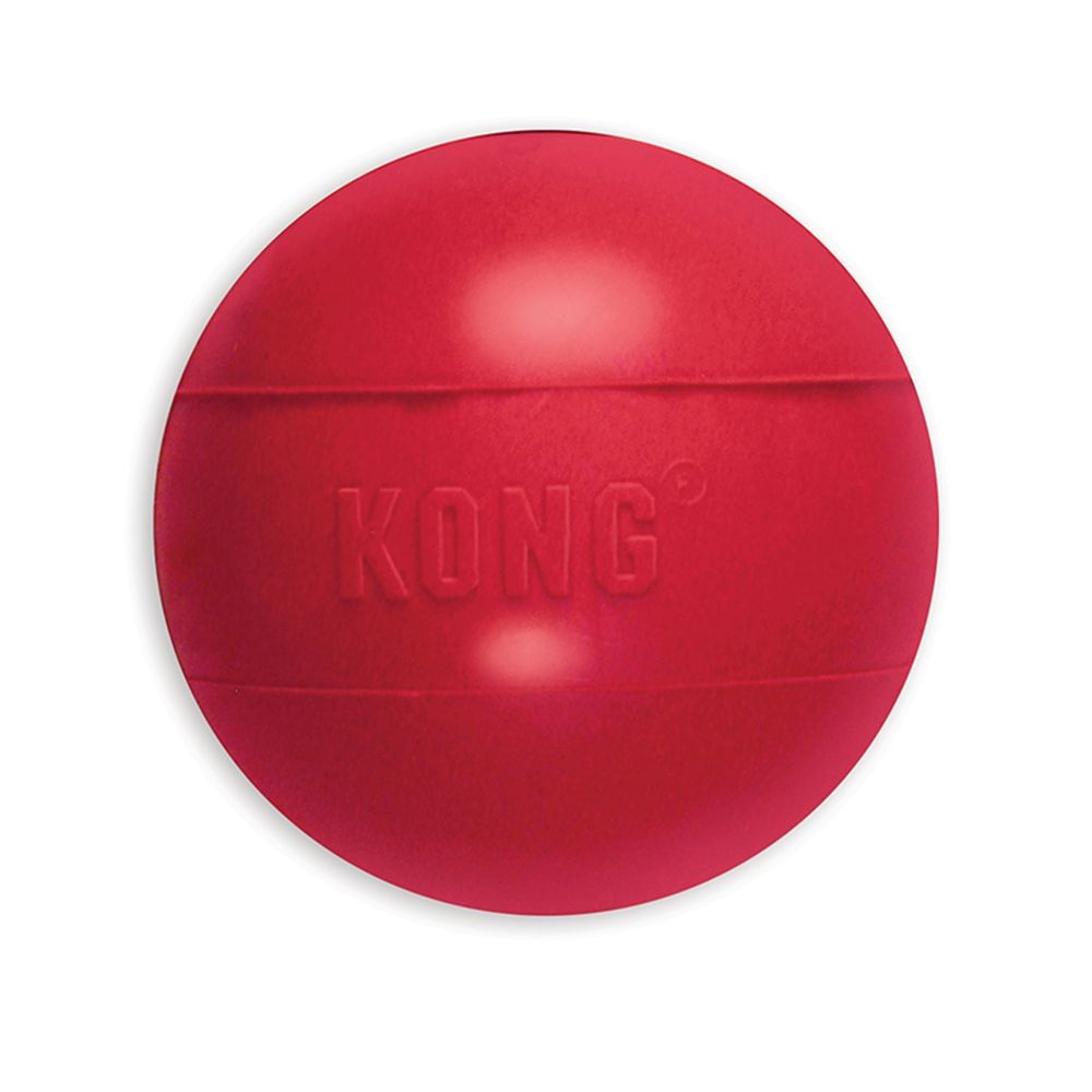 Pelota Kong