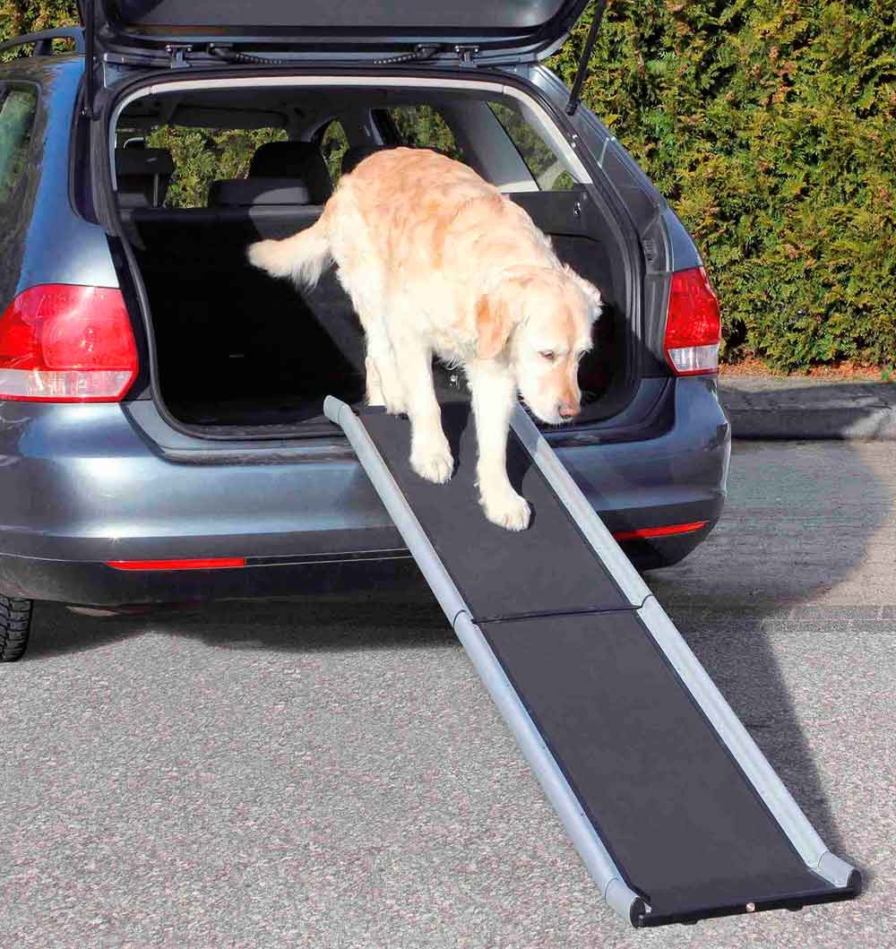 Rampa plegable de acceso a coche