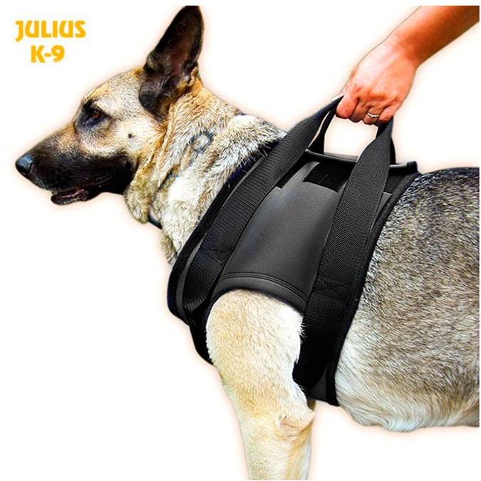 Arnés ortopedico anterior JULIUS K-9