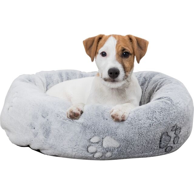 Cama para perro modelo Nando