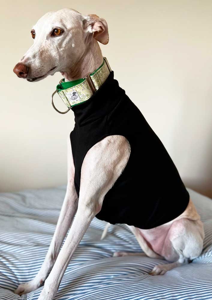 Camiseta térmica para galgo