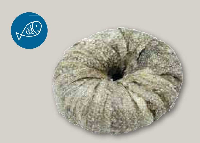 Rosquilla de piel recubierta de pescado