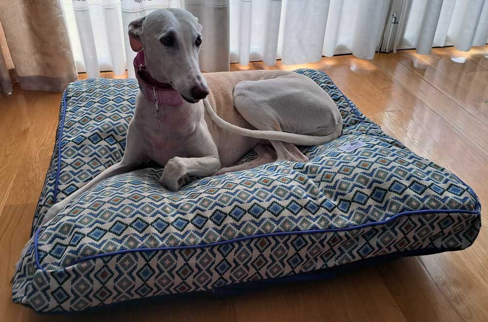 Cama especial para galgo modelo Viena
