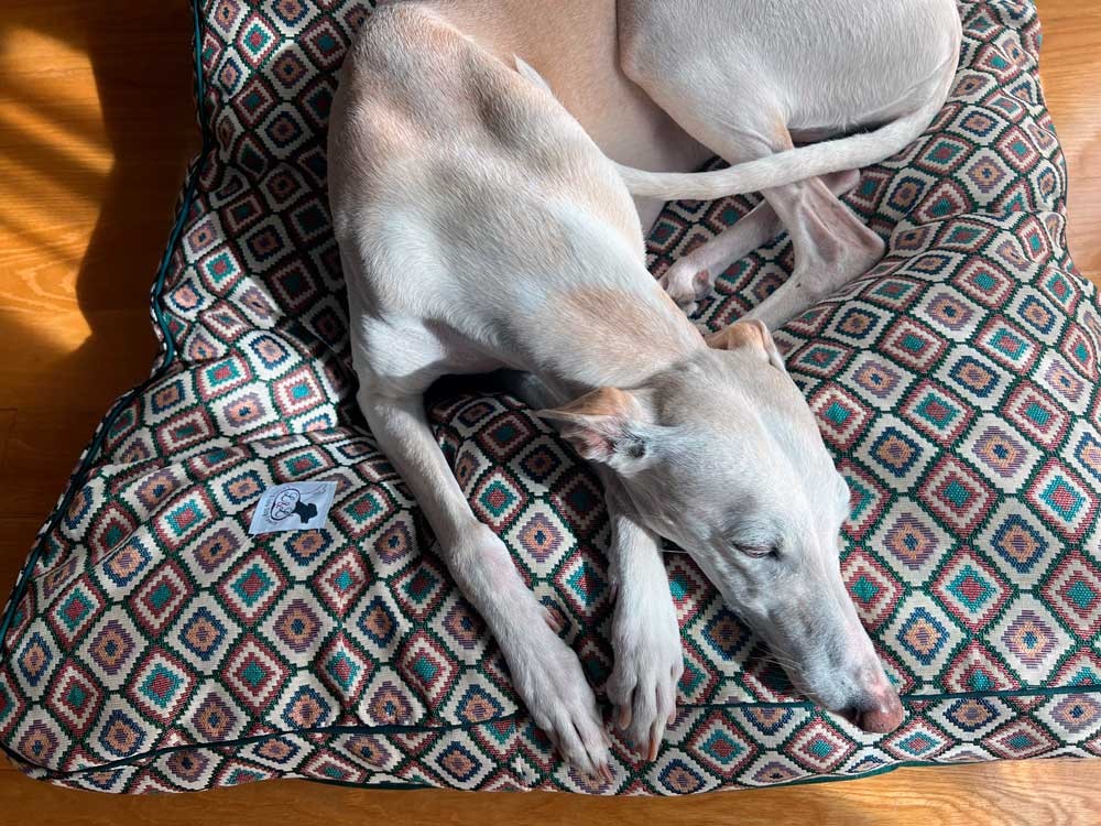 Cama especial para galgo modelo Budapest