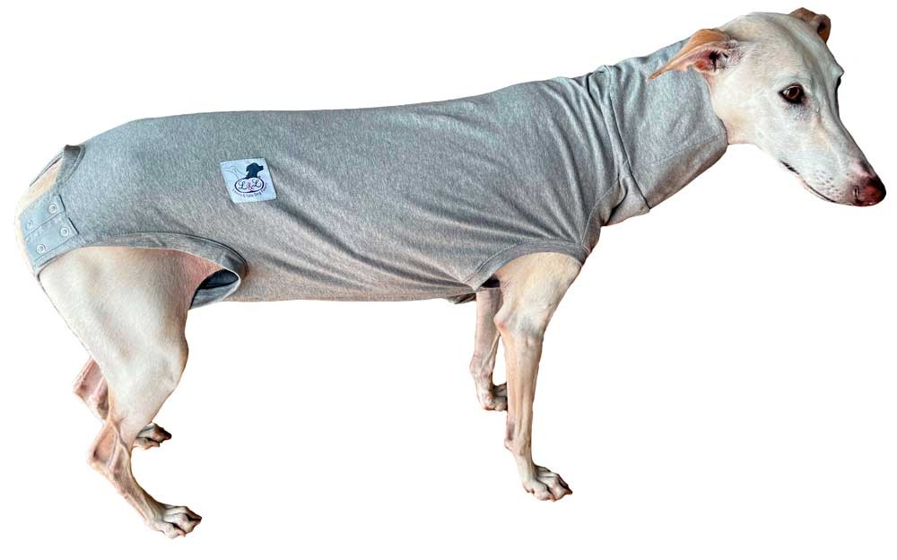 Camiseta protectora para perro de Lucas y Lola