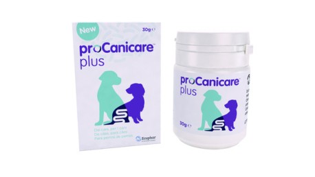 PROCANICARE Plus para los trastornos gastrointestinales del perro