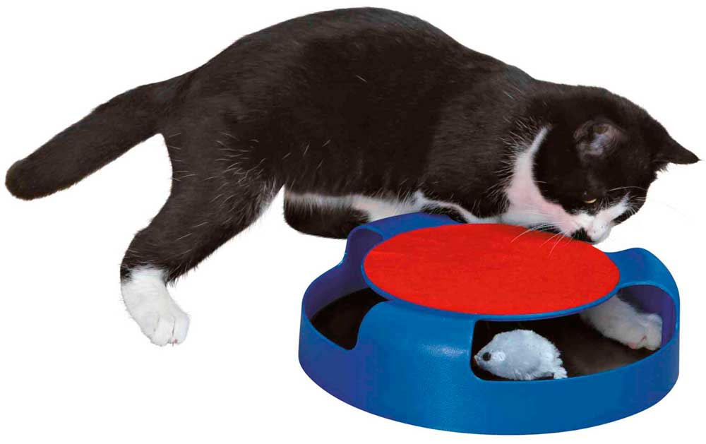 Juguete para gato atrapa ratón