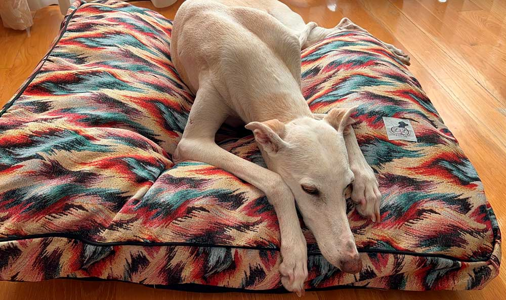 Cama especial para galgo modelo Madagascar