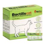 Bactilis gato, prebiótico y probiótico