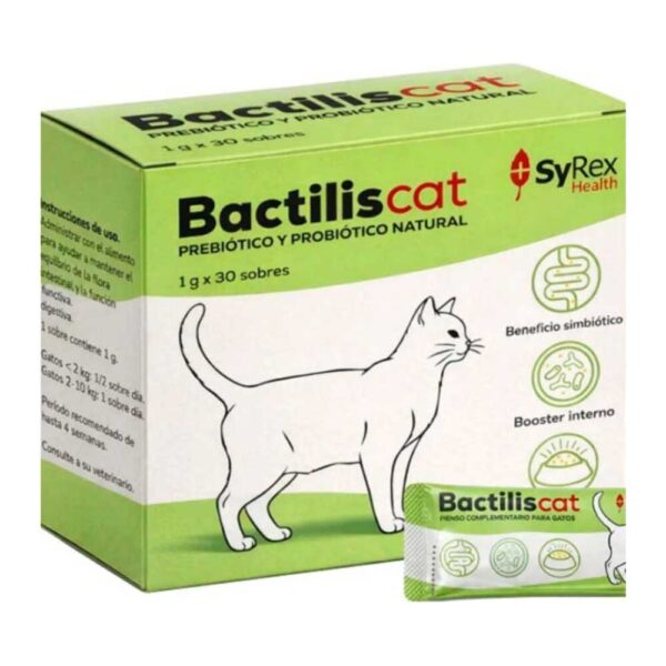 Bactilis gato, prebiótico y probiótico