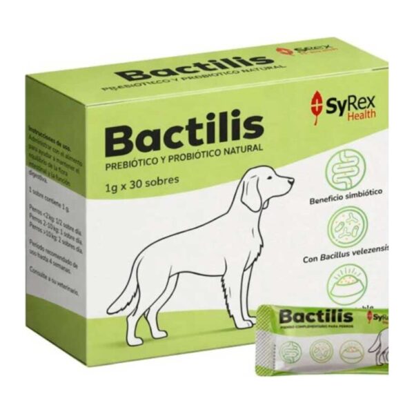 Bactilis perro, prebiótico y probiótico natural