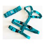 Collar galgo en tela loneta modelo verde turquesa - Imagen 3