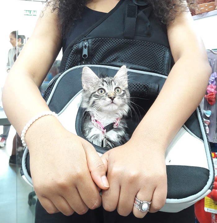 Mochila frontal para transporte de gatos modelo Savina
