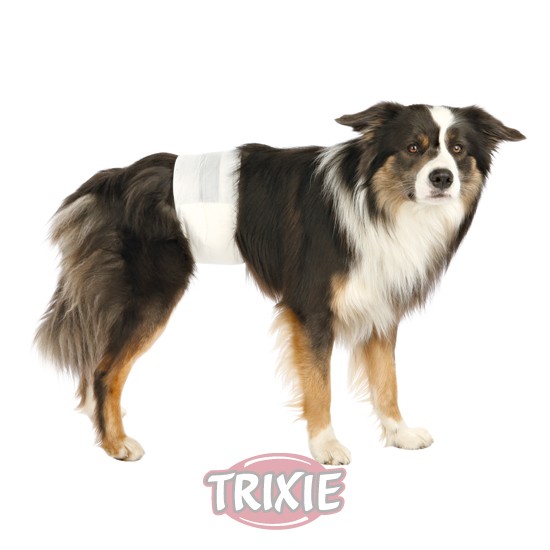 Pañales para perros, modelo machos