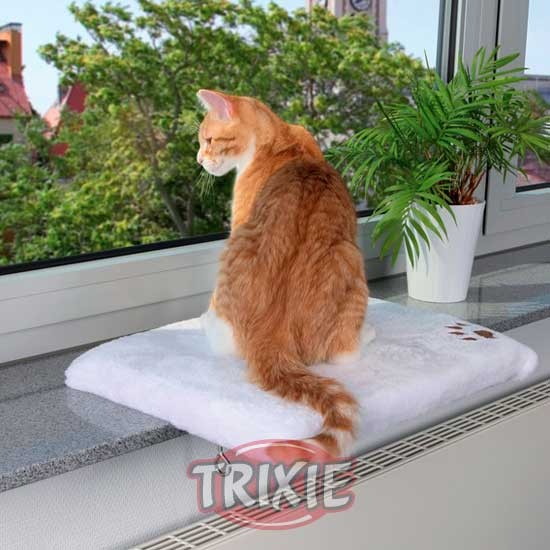 Plataforma para gato de ventana